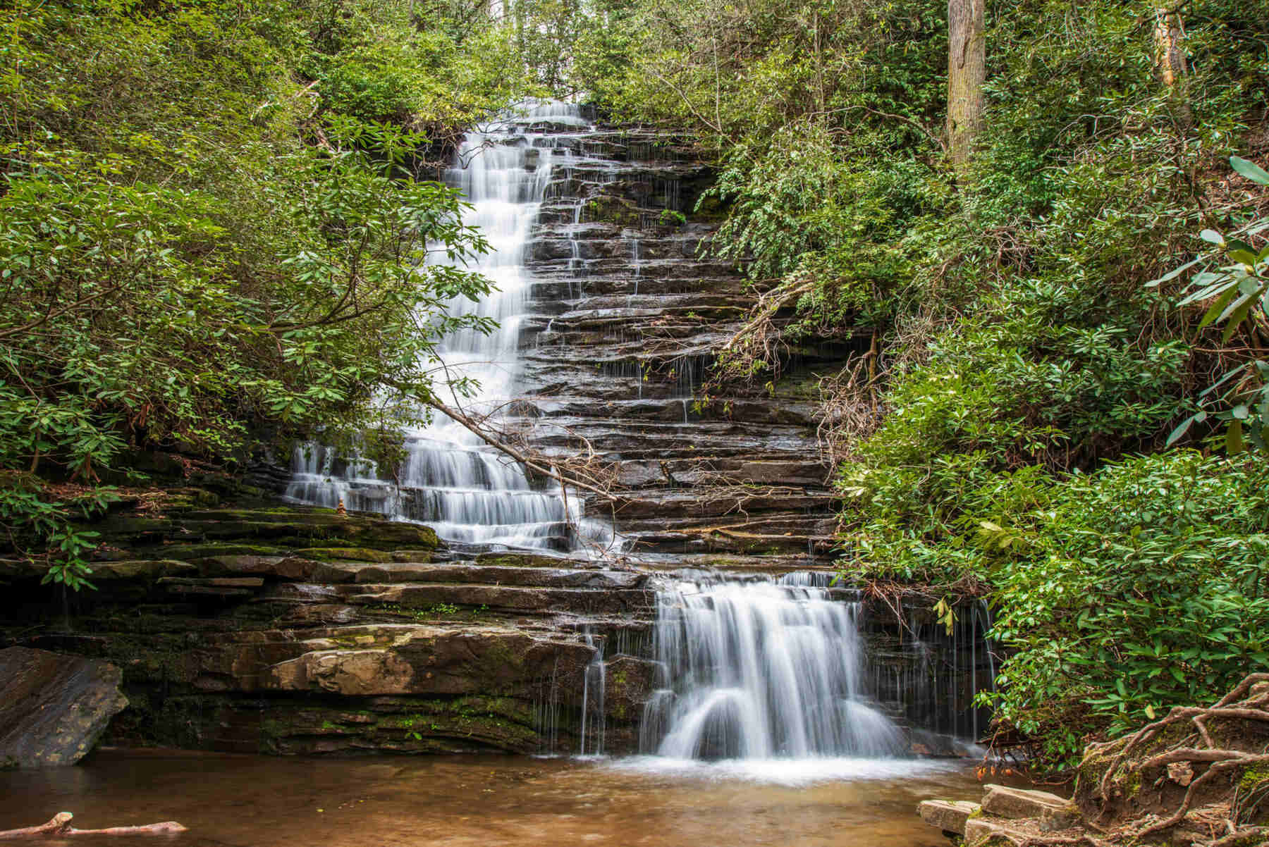 Mysteries-Of-Georgia8217s-Rabun-Bald-Trails mysteries-of-georgias-rabun-bald-trails