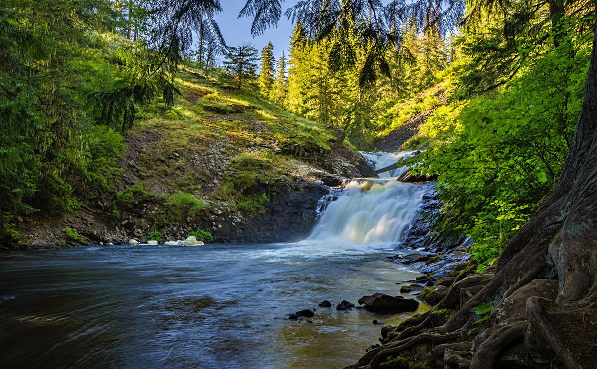 Mysteries-Of-Idaho8217s-Elk-Creek mysteries-of-idahos-elk-creek