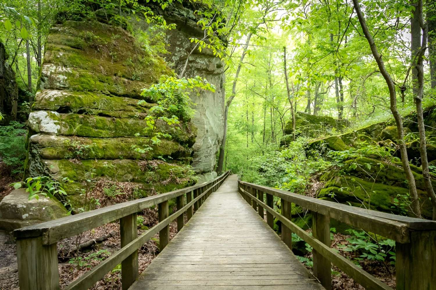 mysteries-of-illinois-giant-city-trails