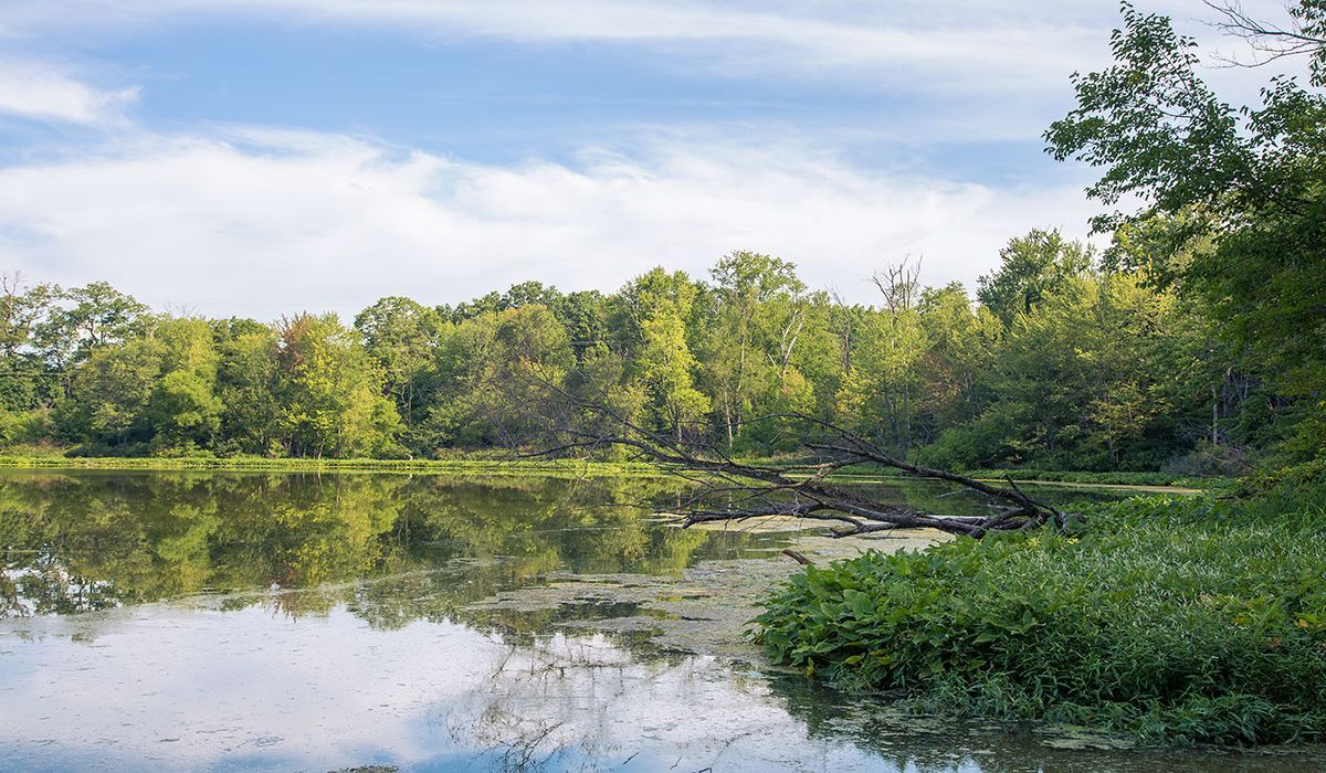 Mysteries-Of-Indiana8217s-Chain-O8217Lakes mysteries-of-indianas-chain-olakes