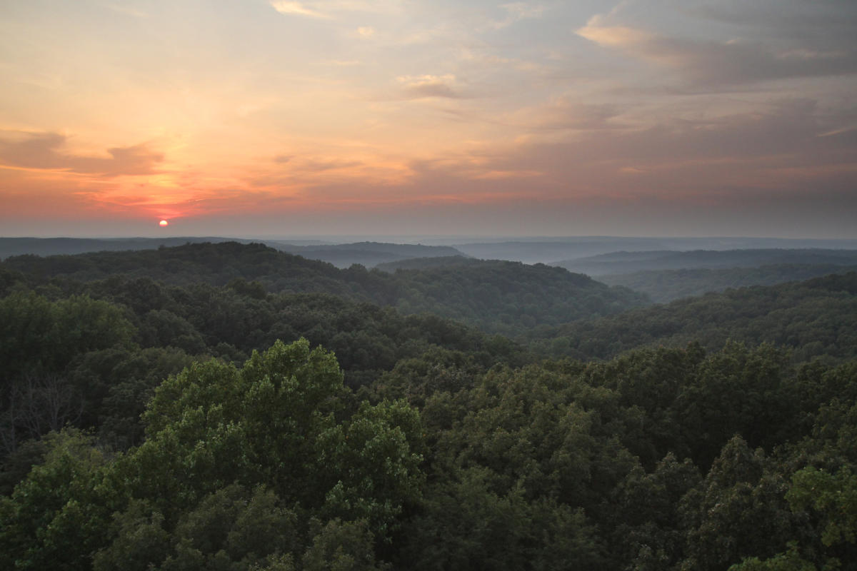 Mysteries-Of-Indiana8217s-Deam-Wilderness mysteries-of-indianas-deam-wilderness
