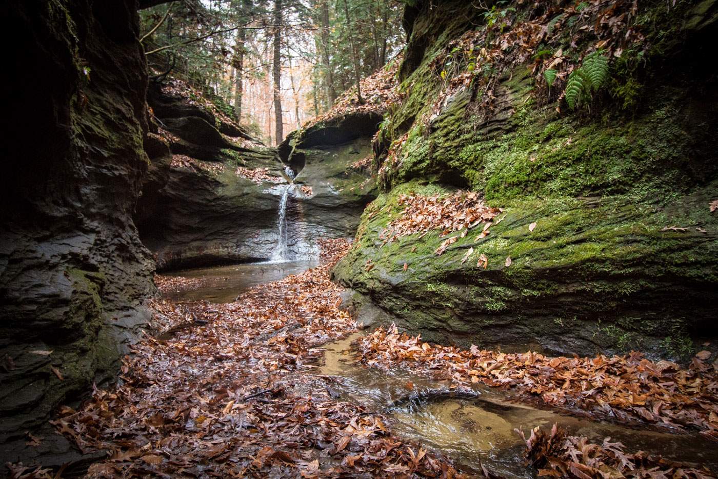Mysteries-Of-Indiana8217s-Falls-Canyon-Trails mysteries-of-indianas-falls-canyon-trails