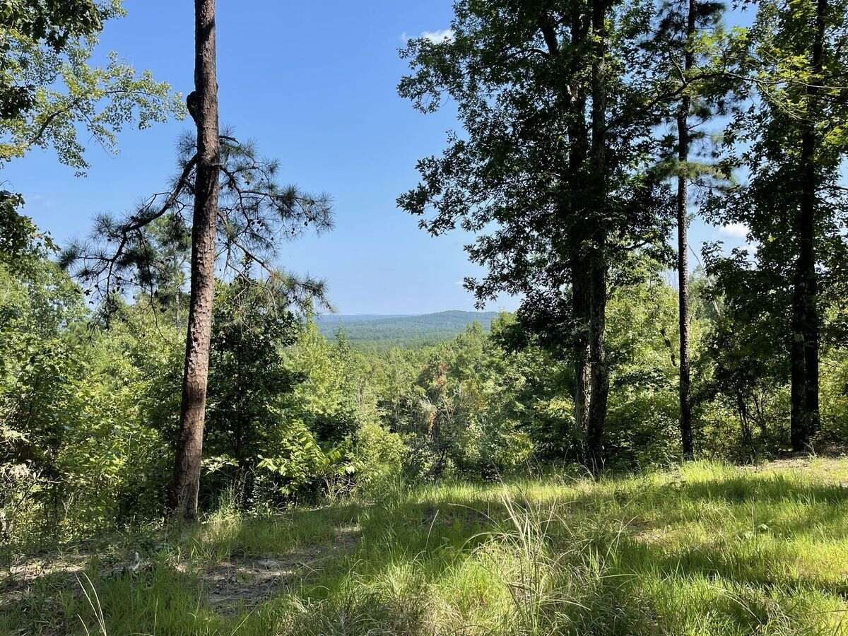 mysteries-of-louisianas-driskill-mountain
