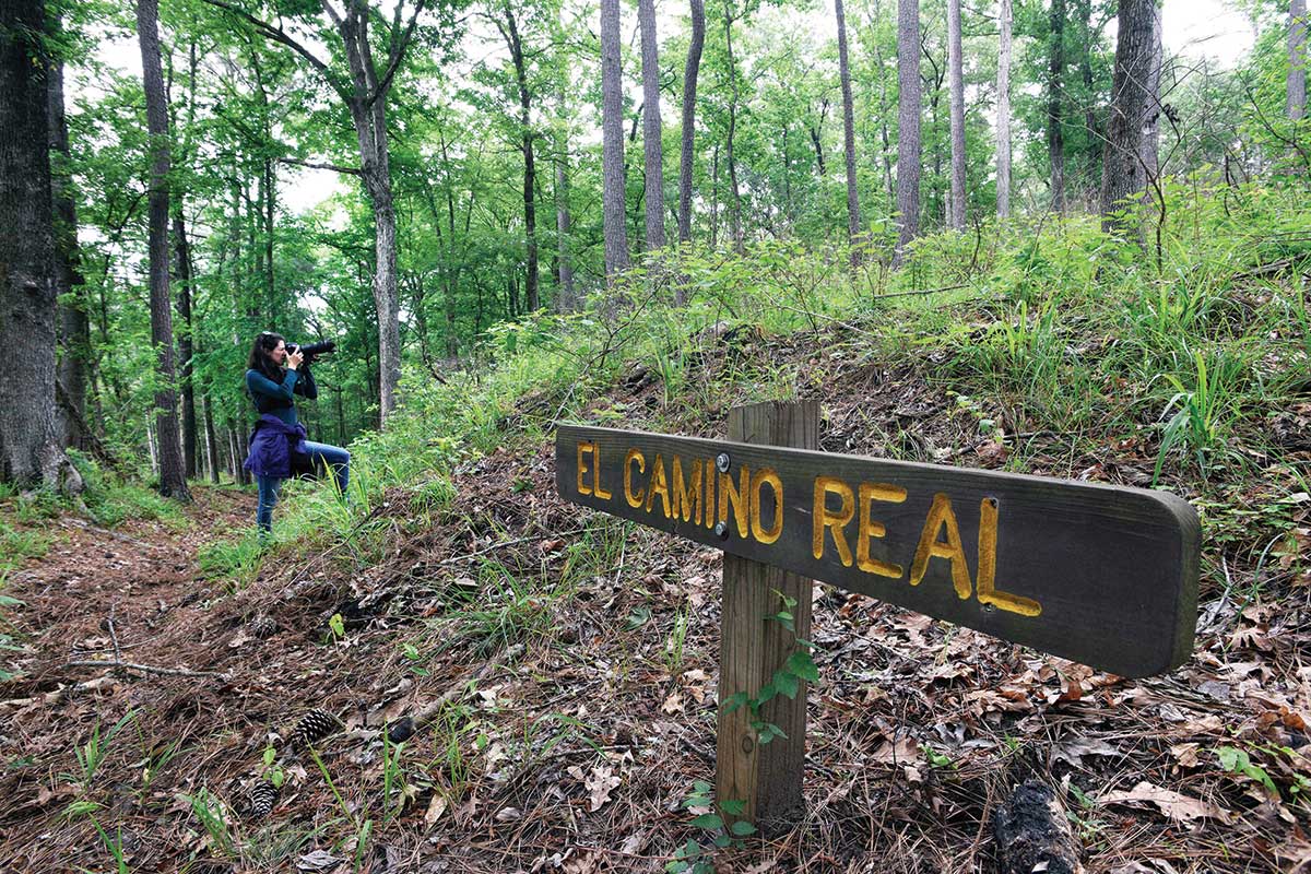 mysteries-of-louisianas-el-camino-real