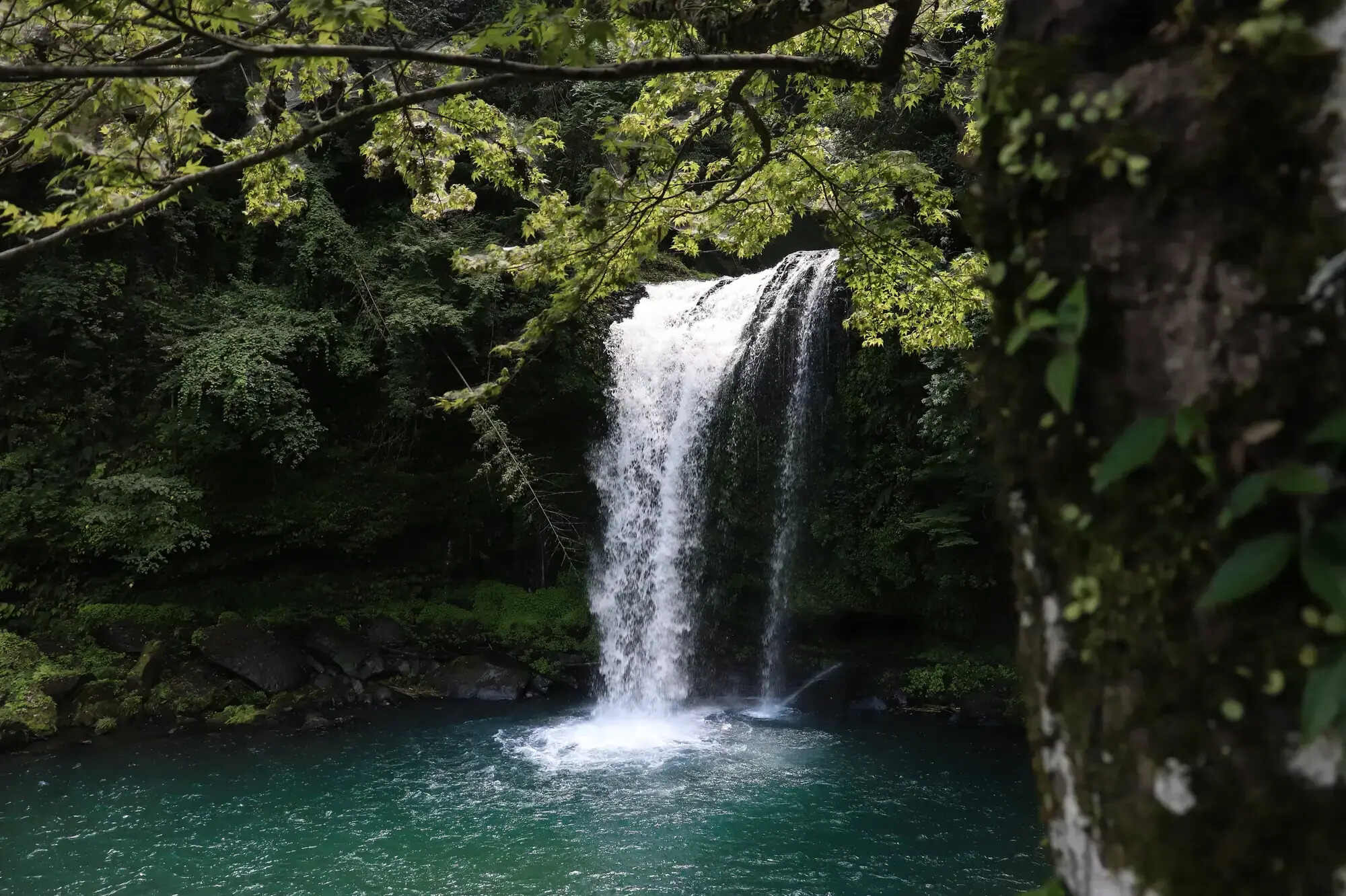 mysteries-of-louisianas-lucky-falls
