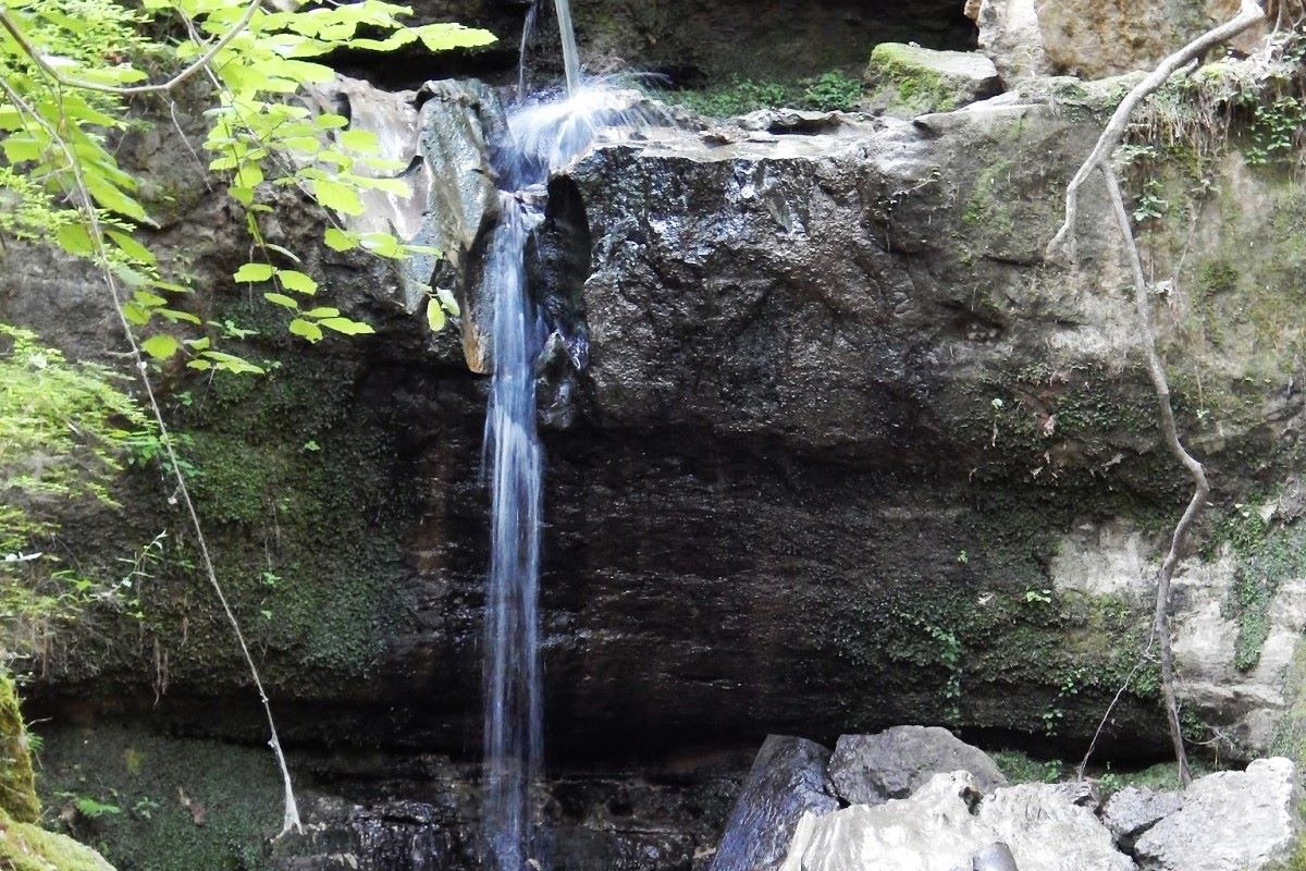 mysteries-of-louisianas-sicily-island-springs