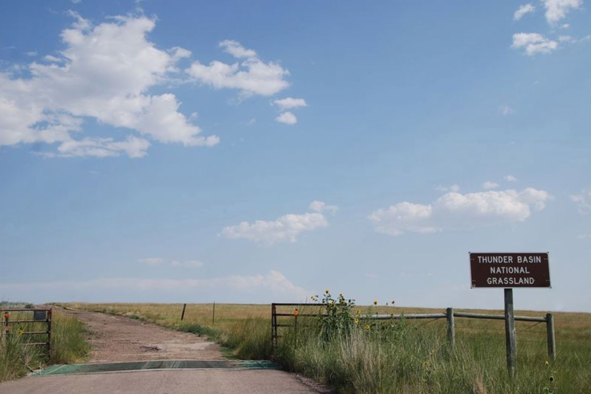 mysteries-of-maines-thunder-basin