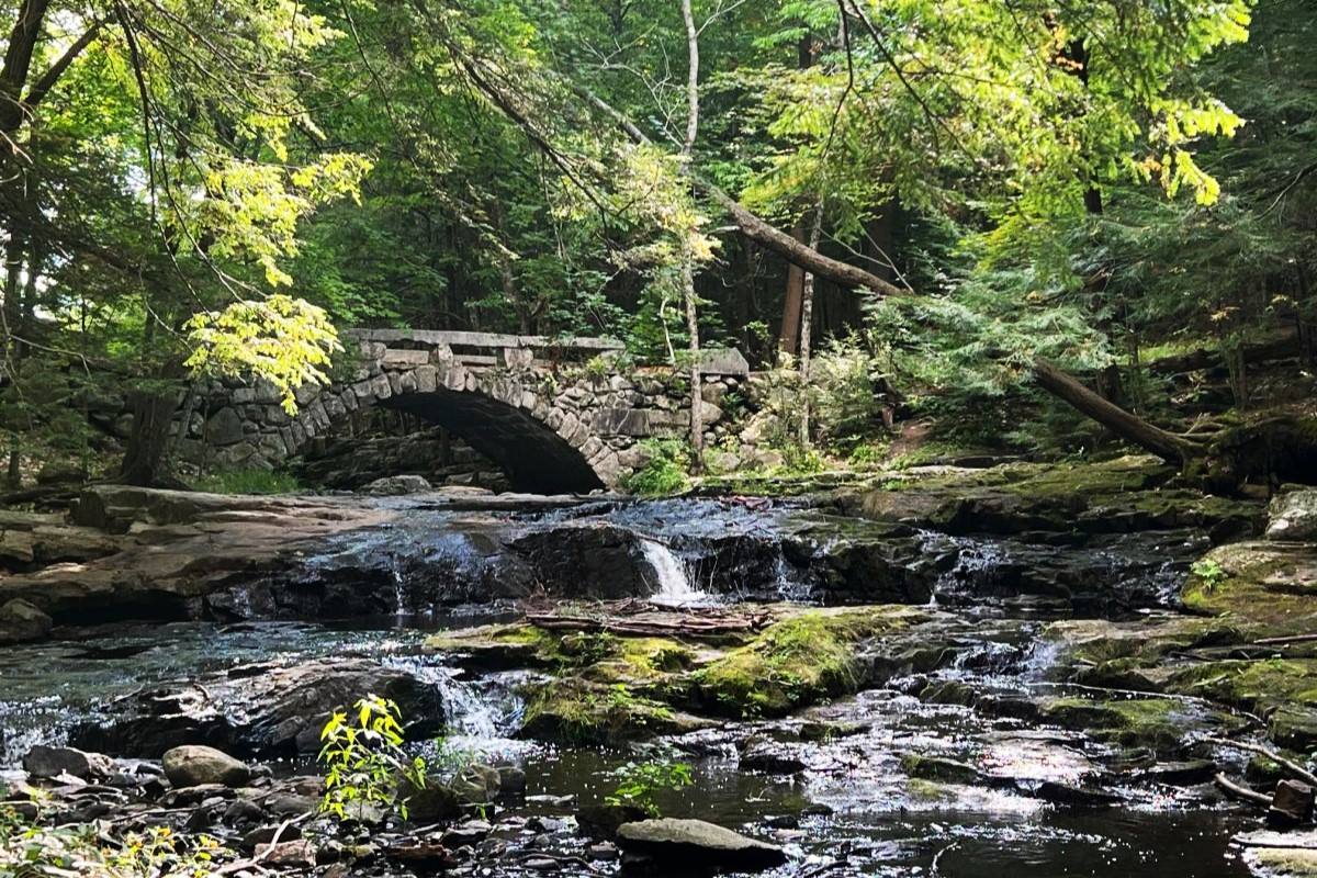 mysteries-of-maines-vaughan-brook