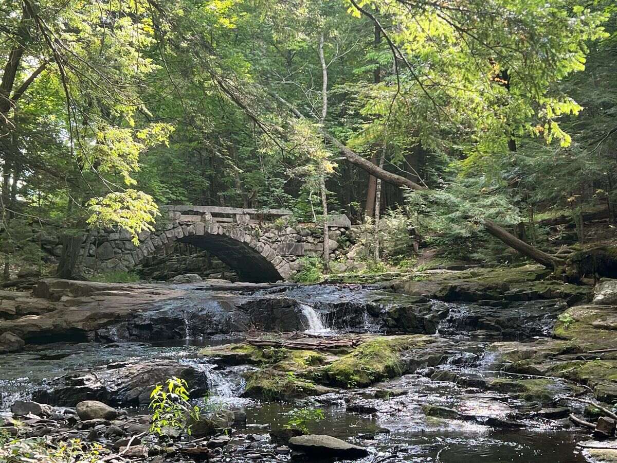 mysteries-of-maines-vaughan-woods