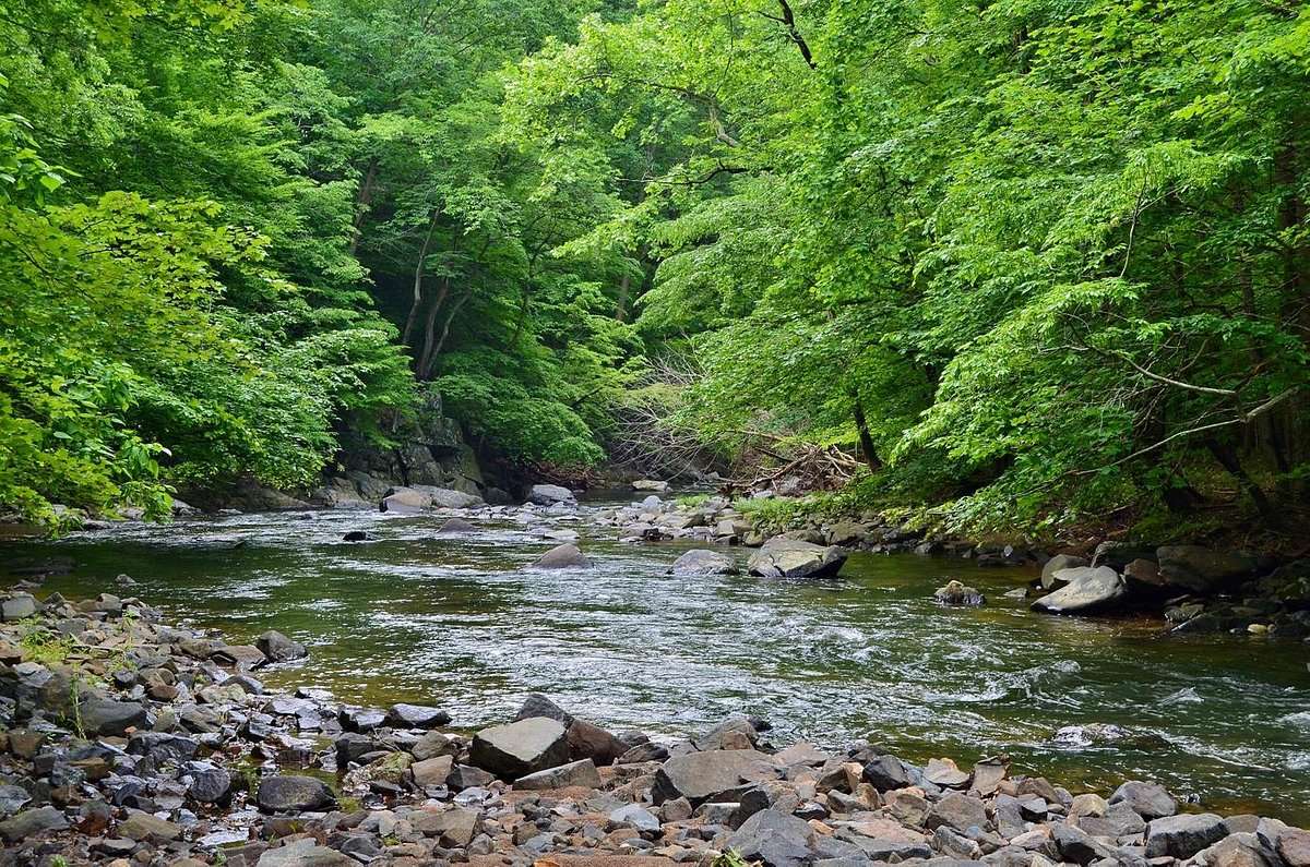 Mysteries-Of-Maryland8217s-Gunpowder-Falls mysteries-of-marylands-gunpowder-falls