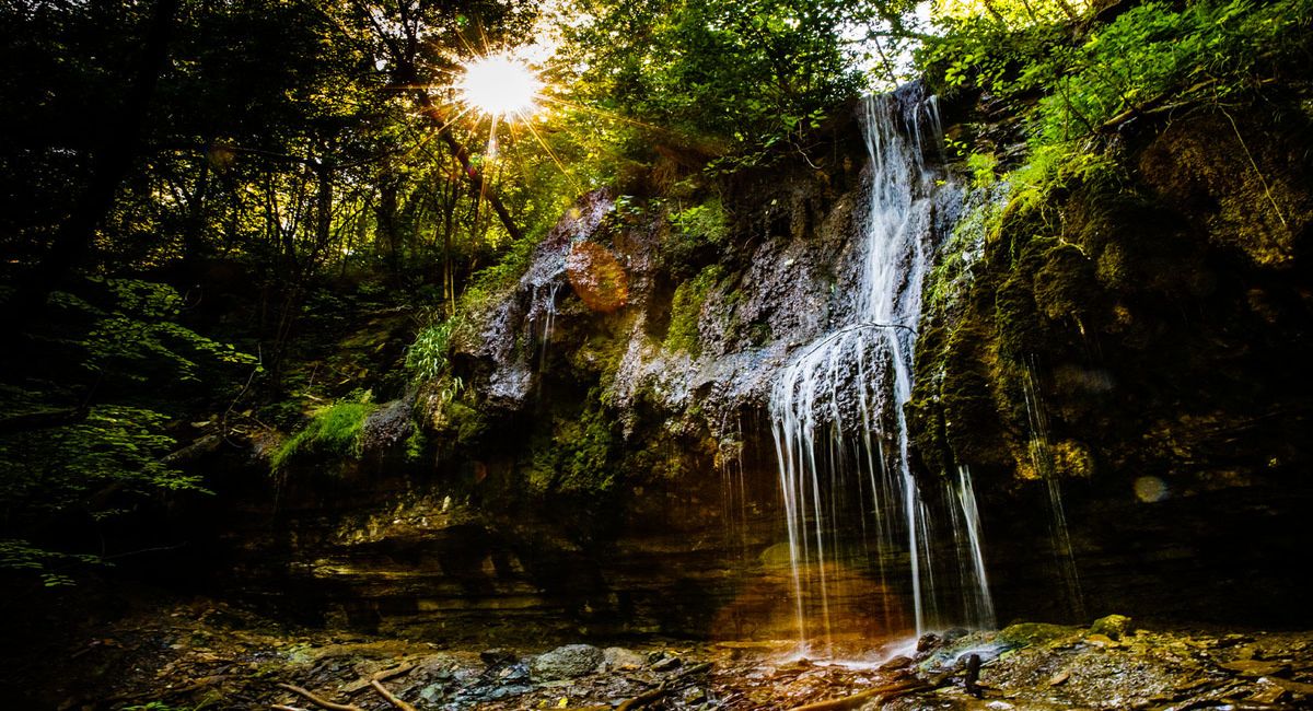 Mysteries-Of-Minnesota8217s-Shadow-Falls-Springs mysteries-of-minnesotas-shadow-falls-springs