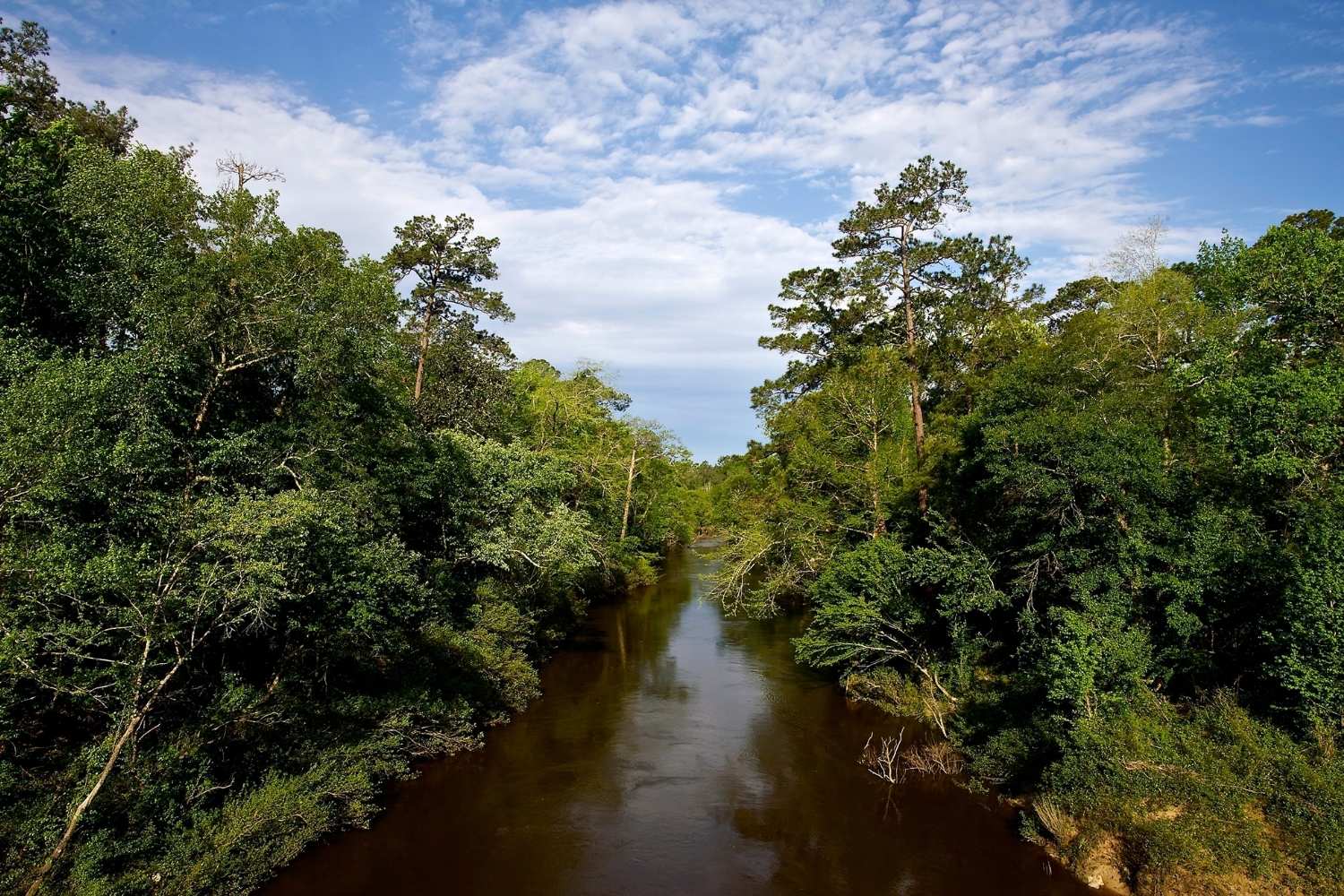 mysteries-of-mississippis-black-creek-springs