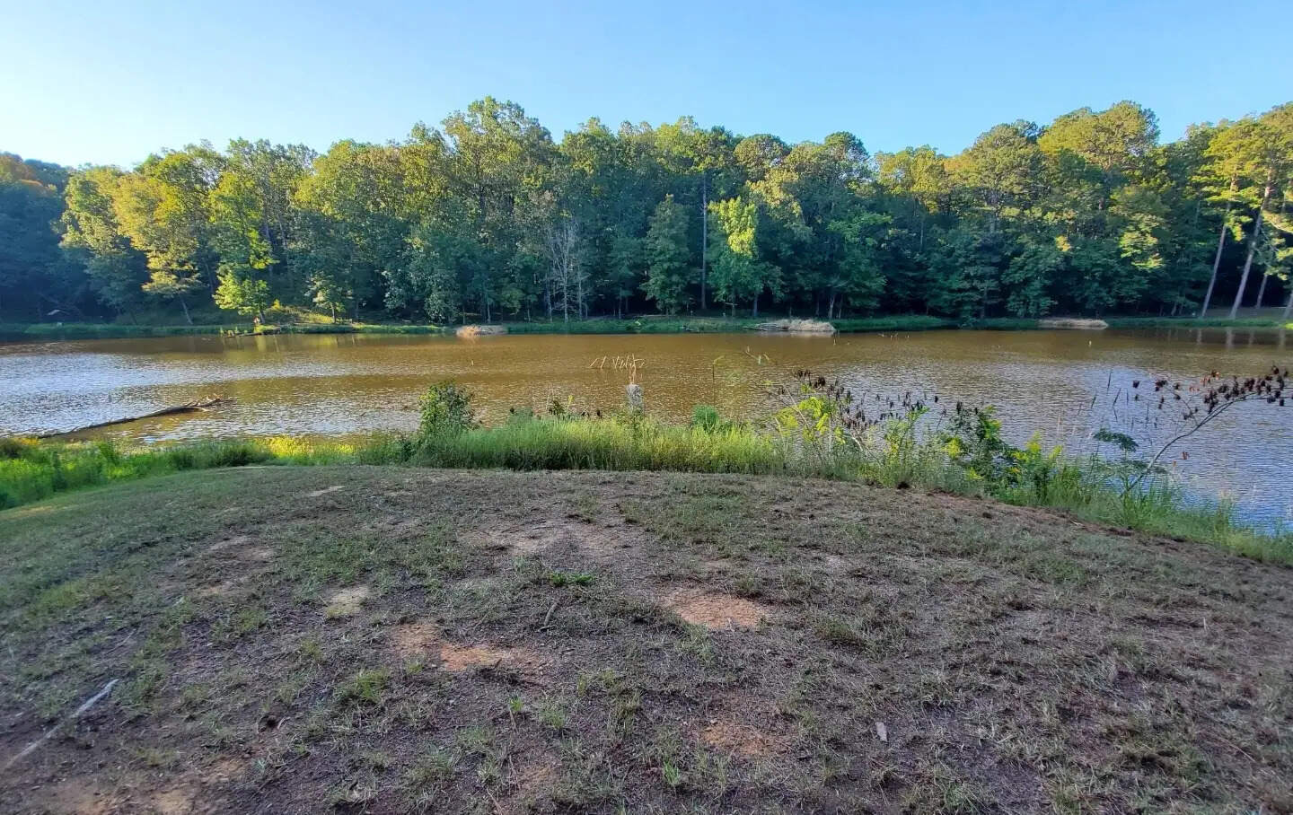 mysteries-of-mississippis-choctaw-lake-trails