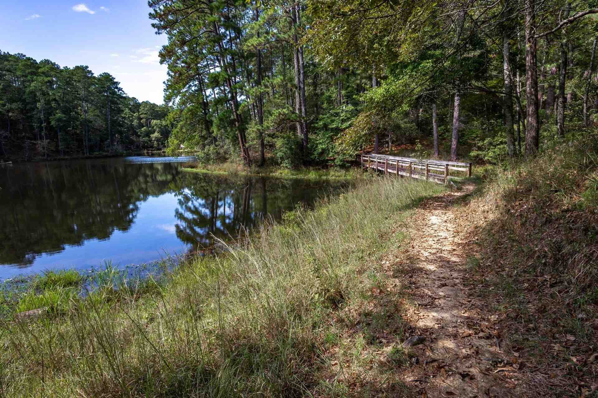Mysteries-Of-Mississippi8217s-Homochitto-Springs mysteries-of-mississippis-homochitto-springs