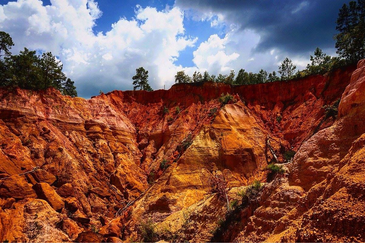Mysteries-Of-Mississippi8217s-Little-Grand-Canyon mysteries-of-mississippis-little-grand-canyon