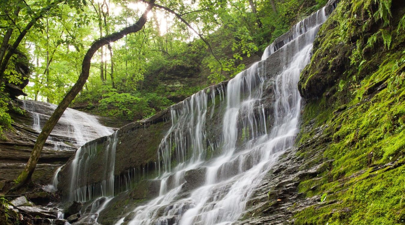 Mysteries-Of-Mississippi8217s-Natchez-Trace-Waters mysteries-of-mississippis-natchez-trace-waters