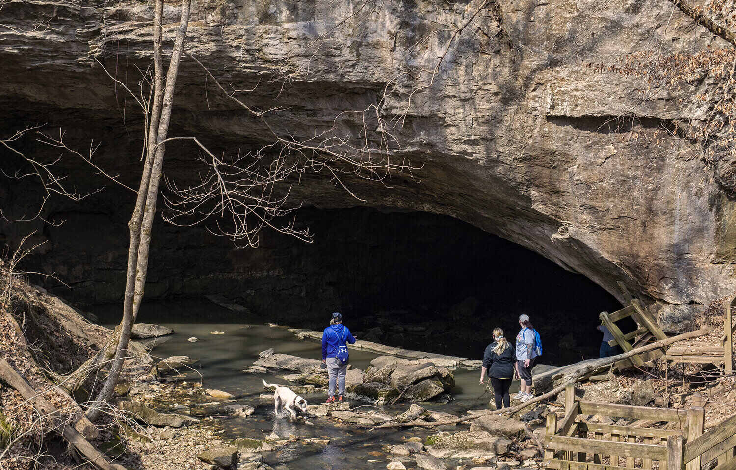 Mysteries-Of-Missouri8217s-Rock-Bridge-Trails mysteries-of-missouris-rock-bridge-trails
