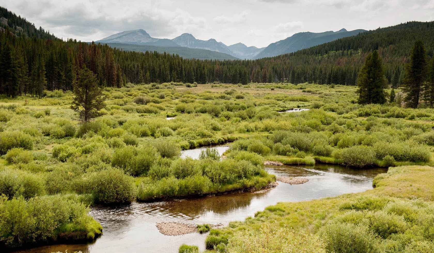 mysteries-of-montanas-pioneer-range-waters