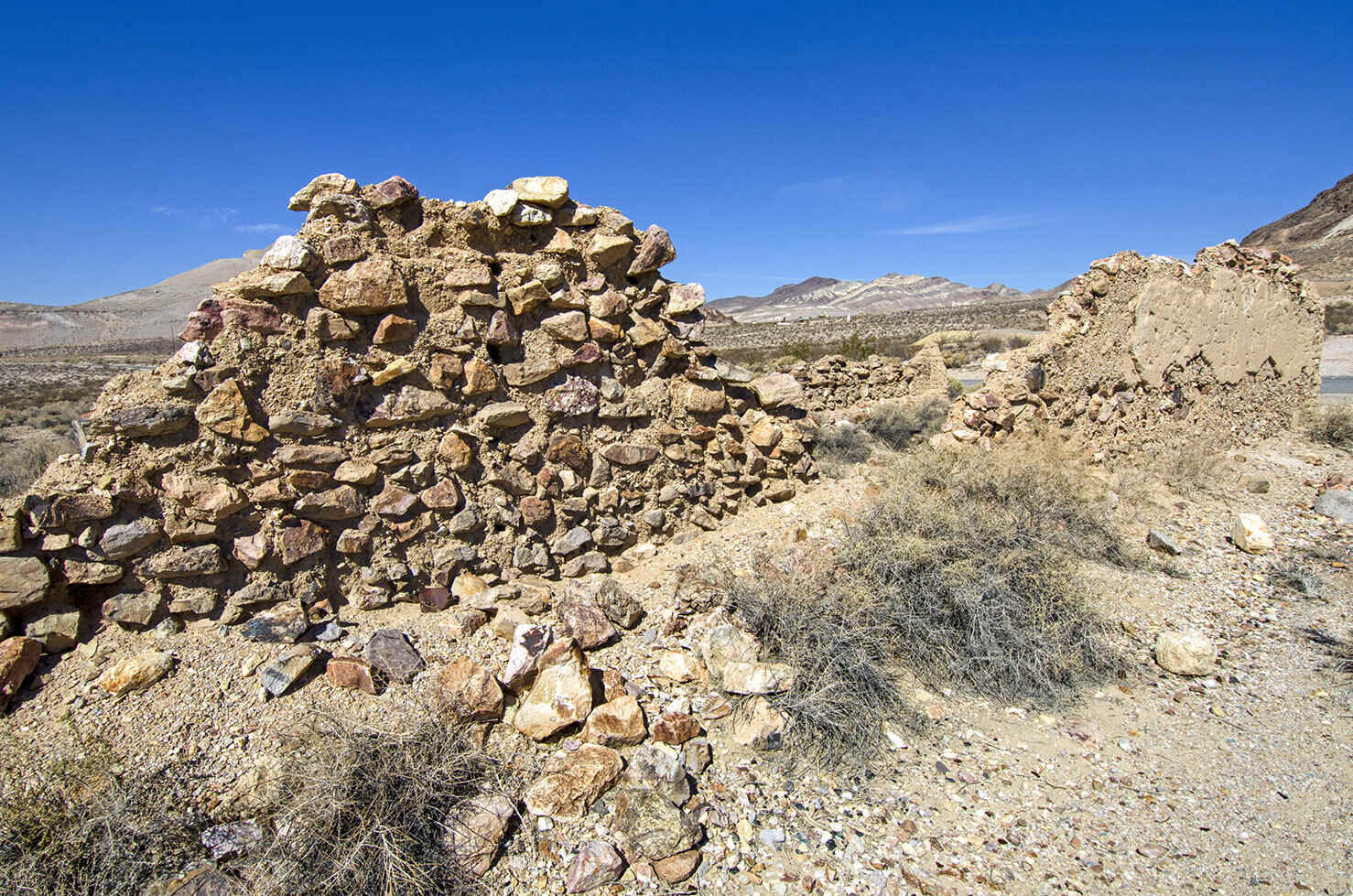 Mysteries-Of-Nevada8217s-Desert-Queen mysteries-of-nevadas-desert-queen