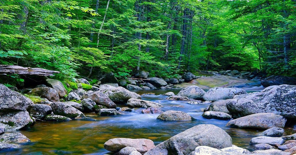 Mysteries-Of-New-Hampshire8217s-Basin-Waters mysteries-of-new-hampshires-basin-waters