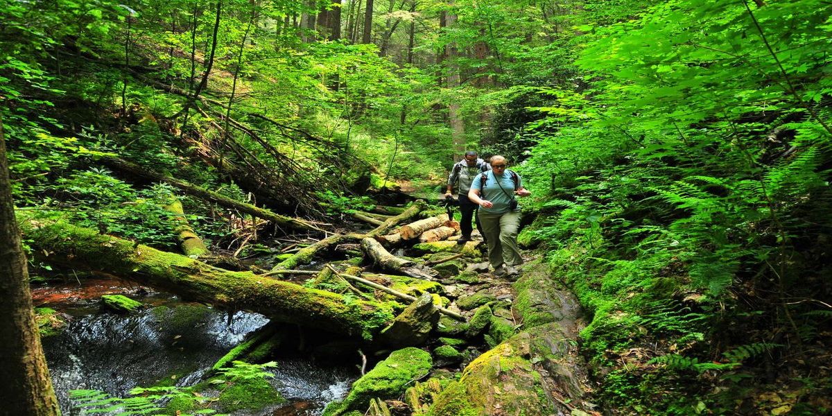 Mysteries-Of-New-Jersey8217s-Tillman-Ravine mysteries-of-new-jerseys-tillman-ravine