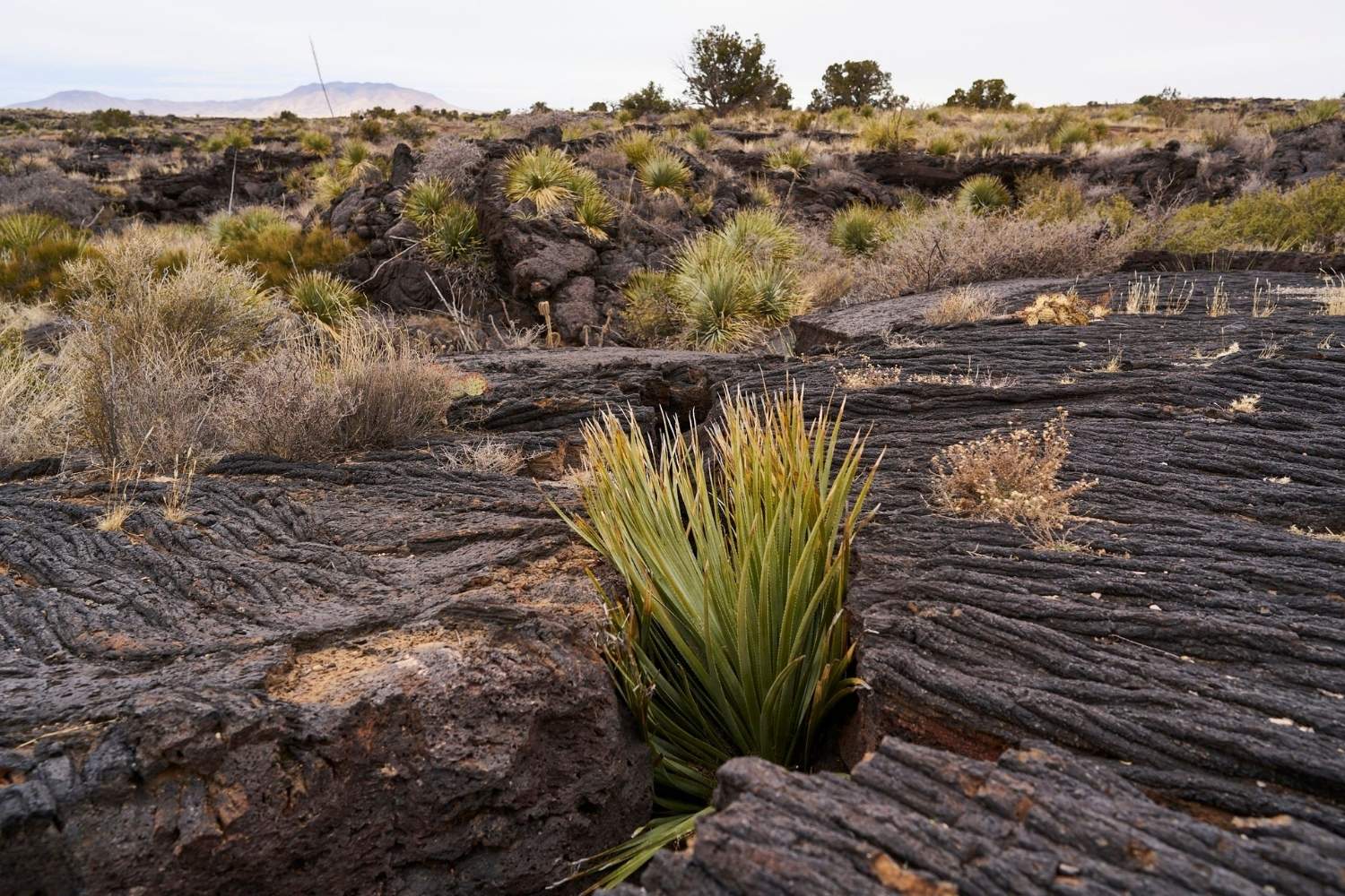 mysteries-of-new-mexicos-valley-of-fires