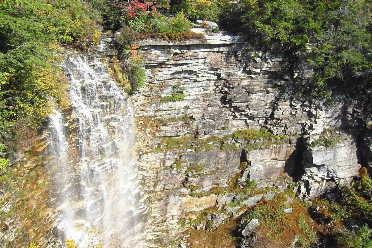 Mysteries-Of-New-York8217s-Verkeerderkill-Waters mysteries-of-new-yorks-verkeerderkill-waters