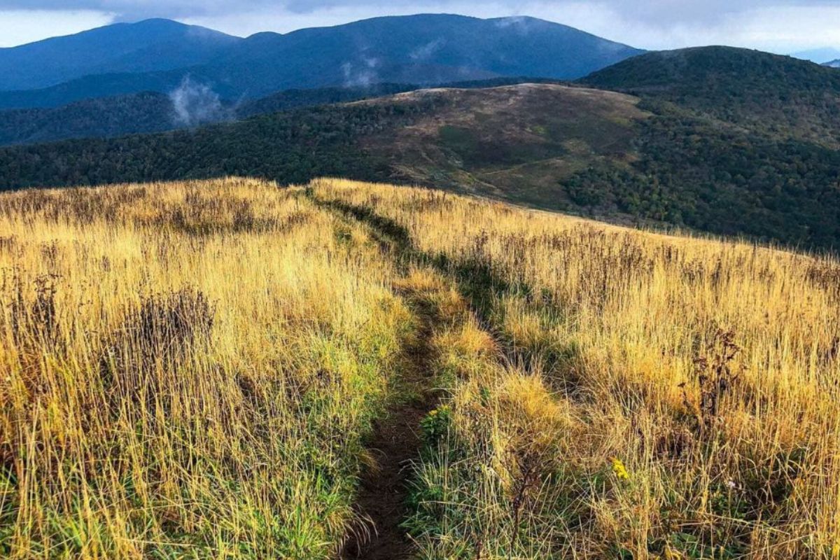 mysteries-of-north-carolinas-carvers-gap