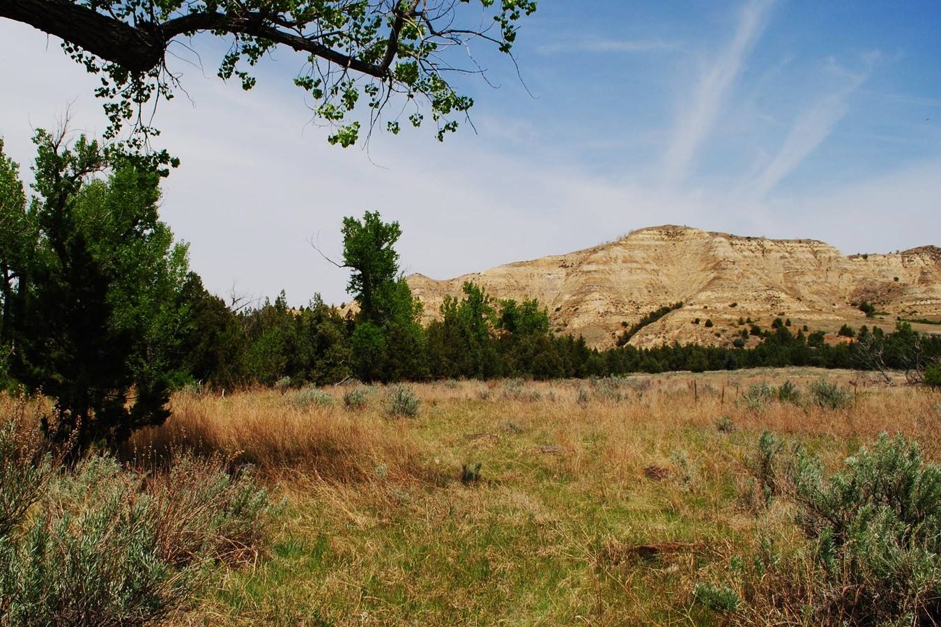 Mysteries-Of-North-Dakota8217s-Elkhorn-Ranch mysteries-of-north-dakotas-elkhorn-ranch