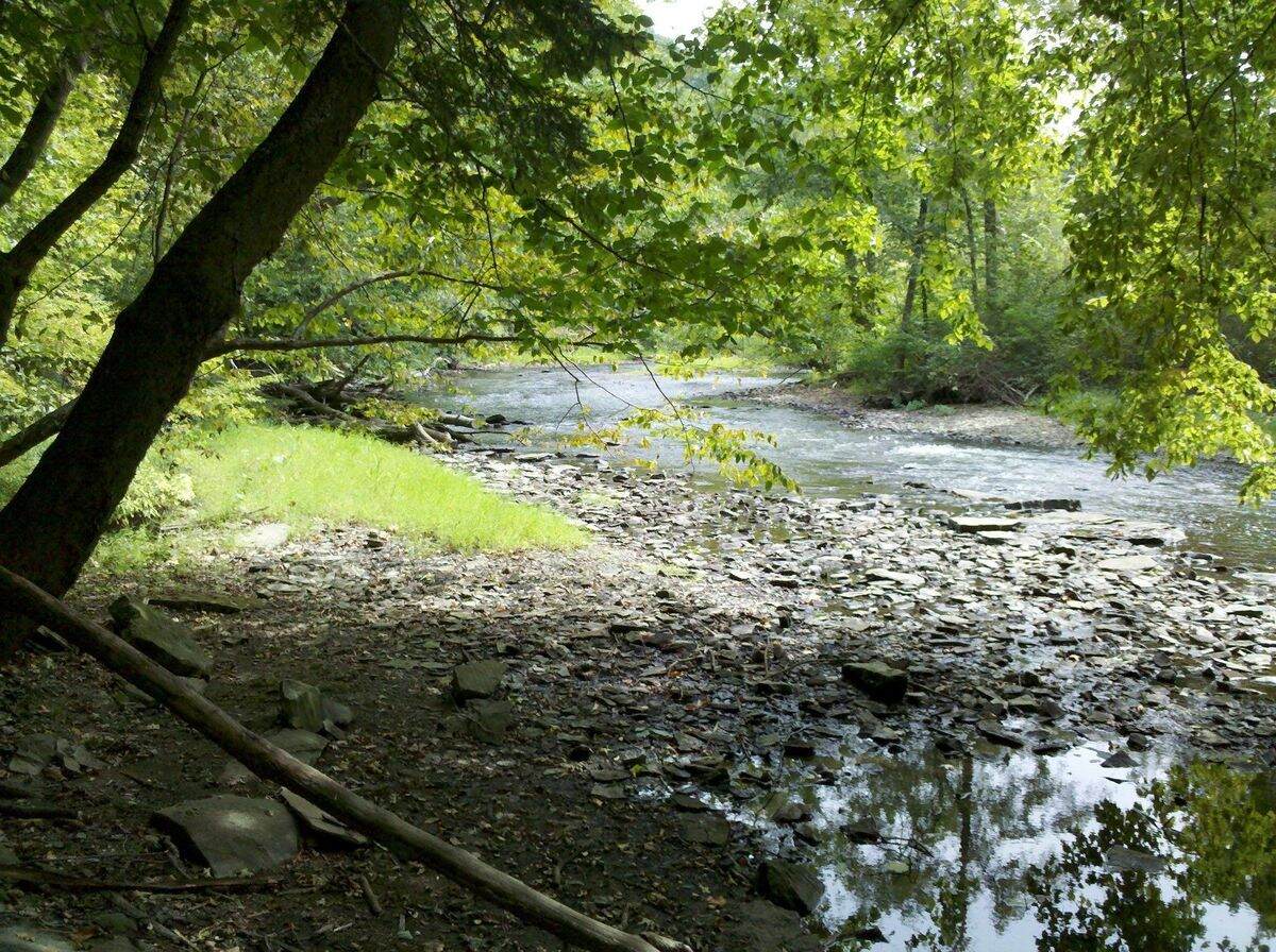 mysteries-of-ohios-clear-fork-gorge-springs