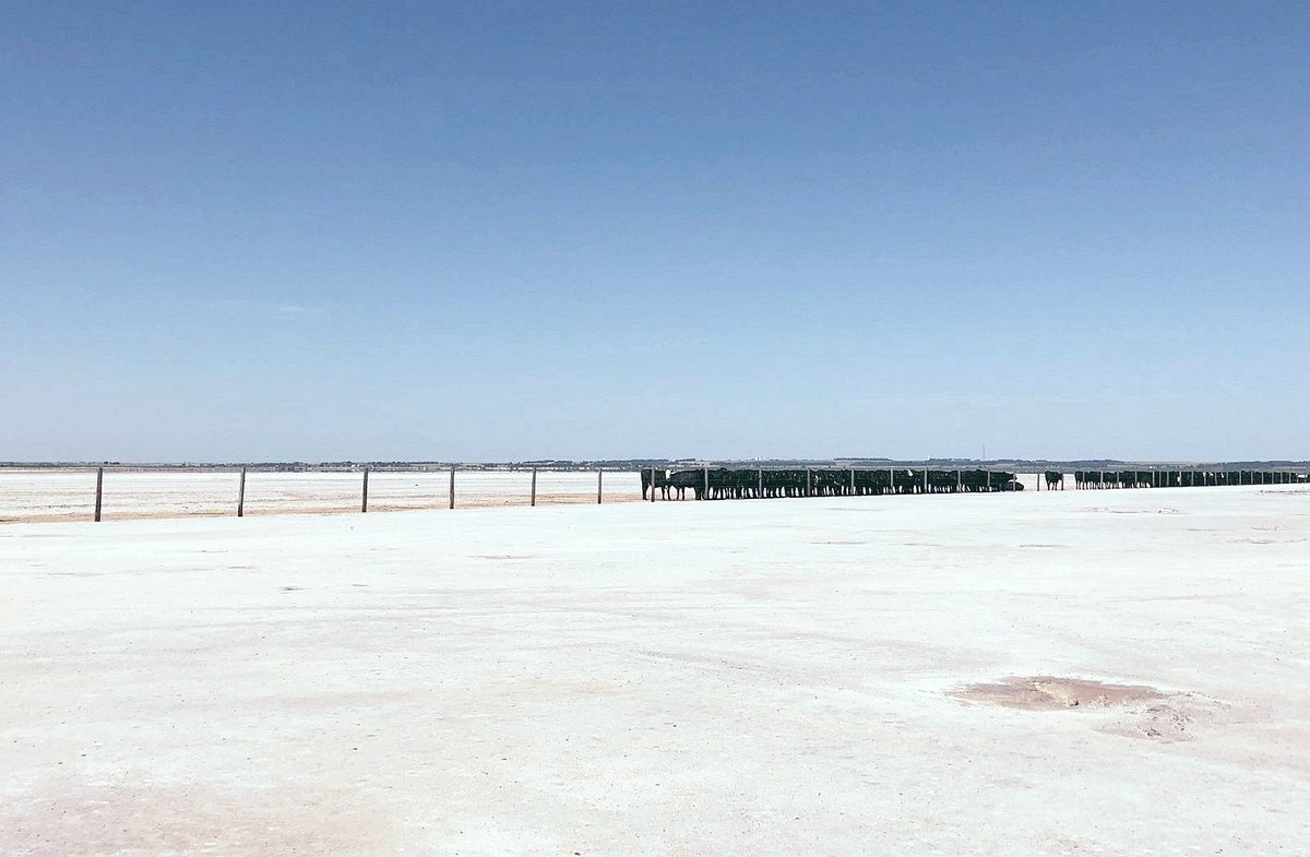 Mysteries-Of-Oklahoma8217s-Great-Salt-Plains mysteries-of-oklahomas-great-salt-plains