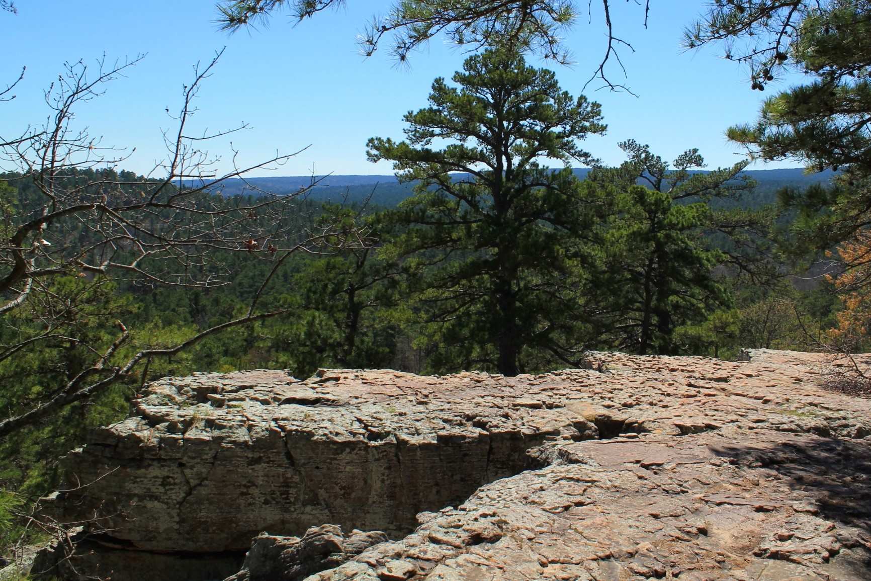 Mysteries-Of-Oklahoma8217s-Parallel-Forest-Caves mysteries-of-oklahomas-parallel-forest-caves