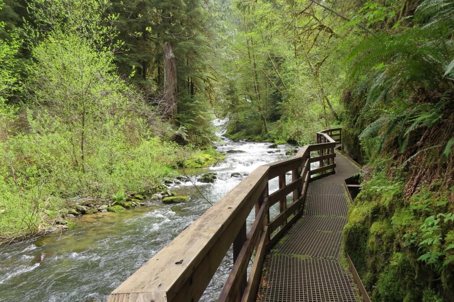 mysteries-of-oregons-sweet-creek-falls