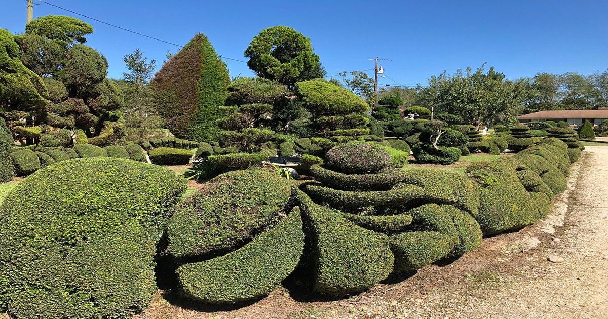 Mysteries-Of-Pearl-Fryar8217s-Garden-Artistry mysteries-of-pearl-fryars-garden-artistry
