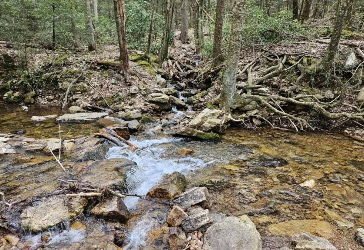 Mysteries-Of-Pennsylvania8217s-Sand-Spring mysteries-of-pennsylvanias-sand-spring