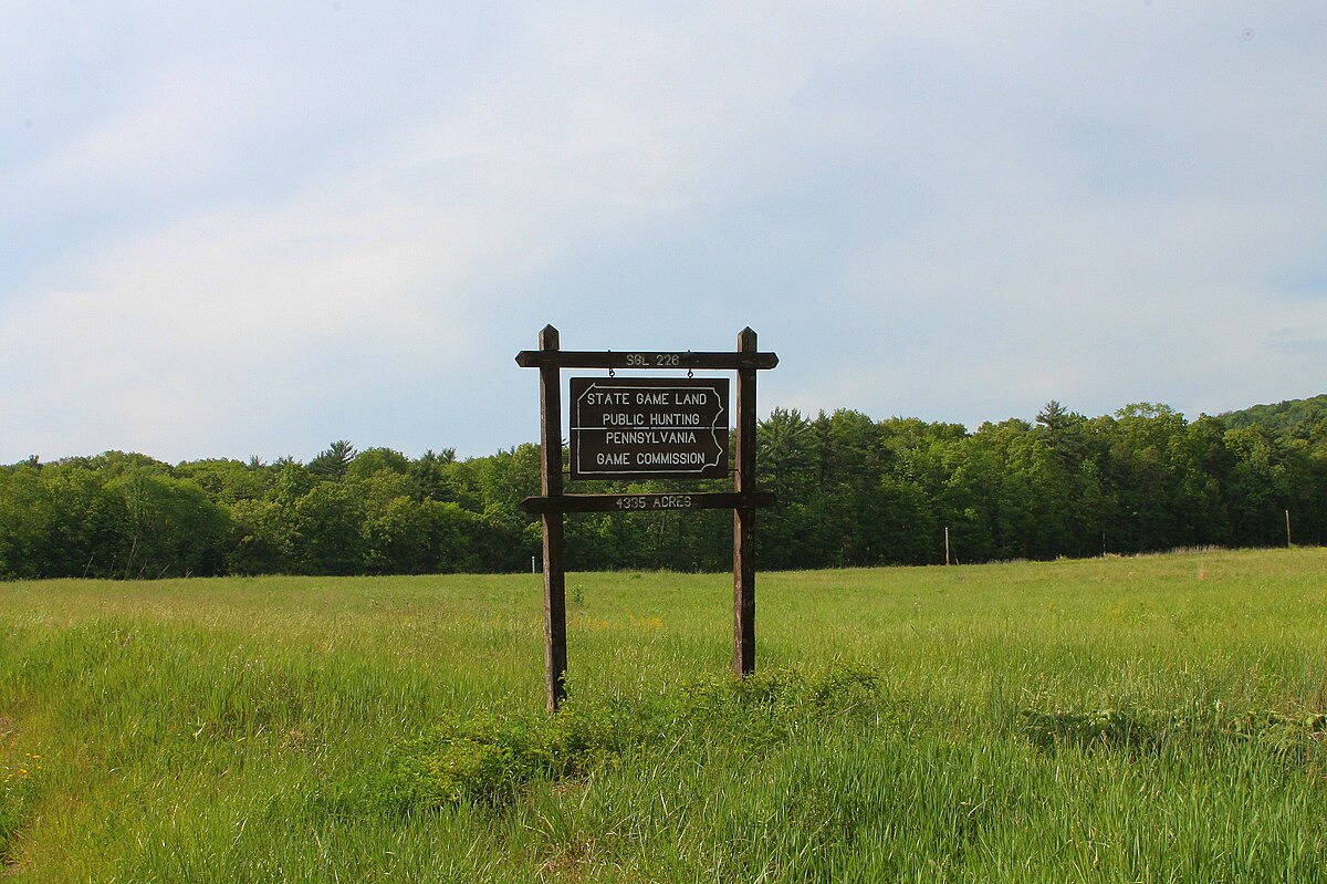 mysteries-of-pennsylvanias-state-game