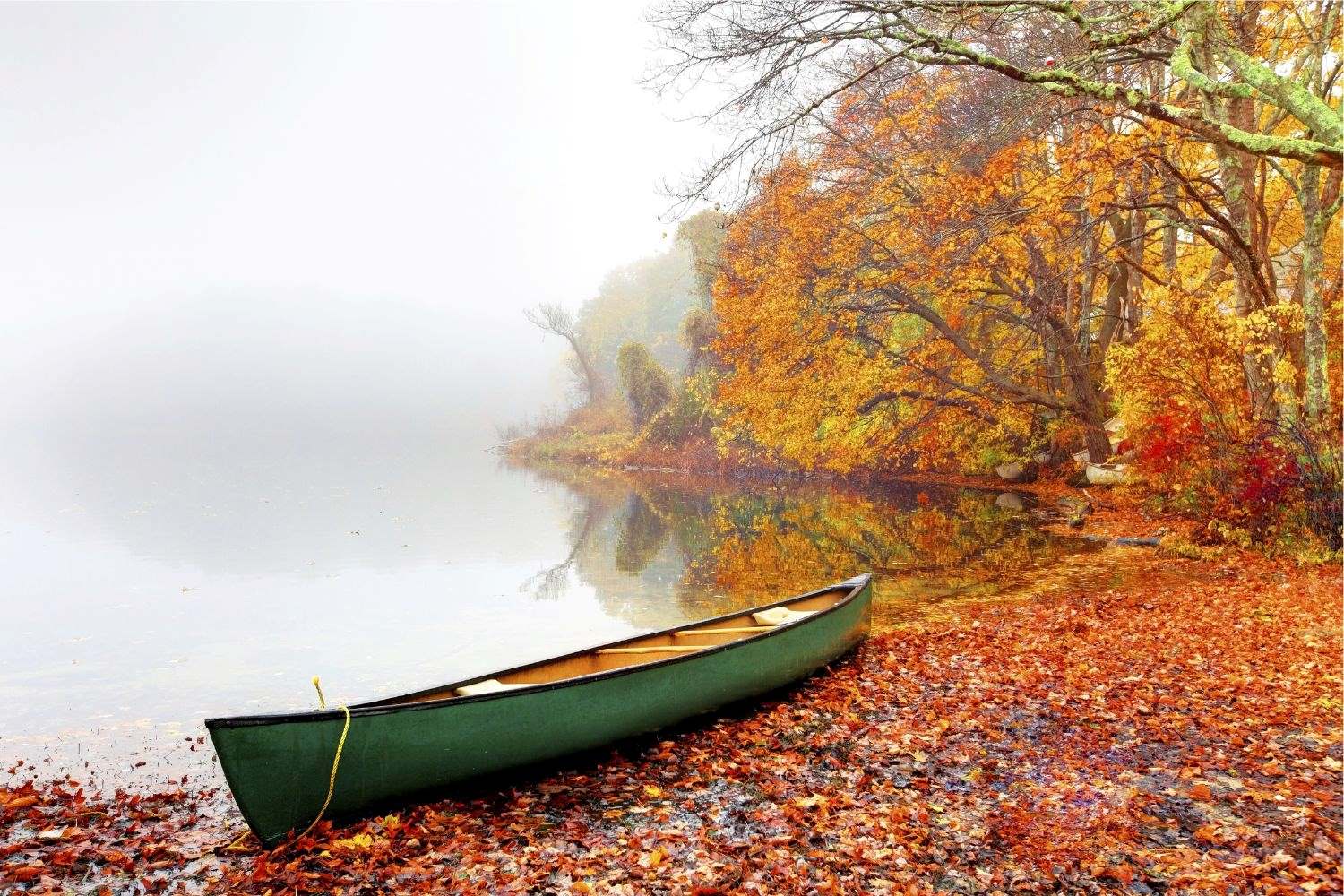 Mysteries-Of-Rhode-Island8217s-Fog-Valley mysteries-of-rhode-islands-fog-valley