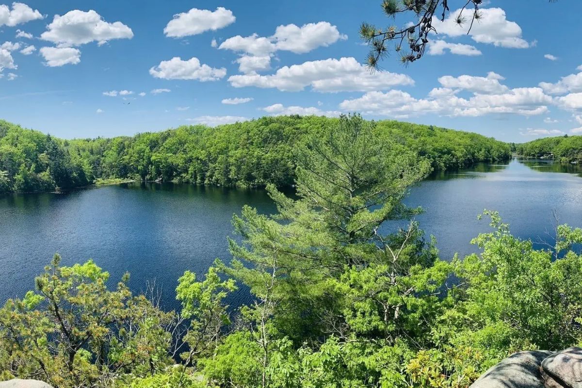 mysteries-of-rhode-islands-long-pond-woods
