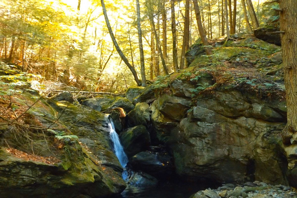 Mysteries-Of-Sage8217s-Ravine-Springs mysteries-of-sages-ravine-springs