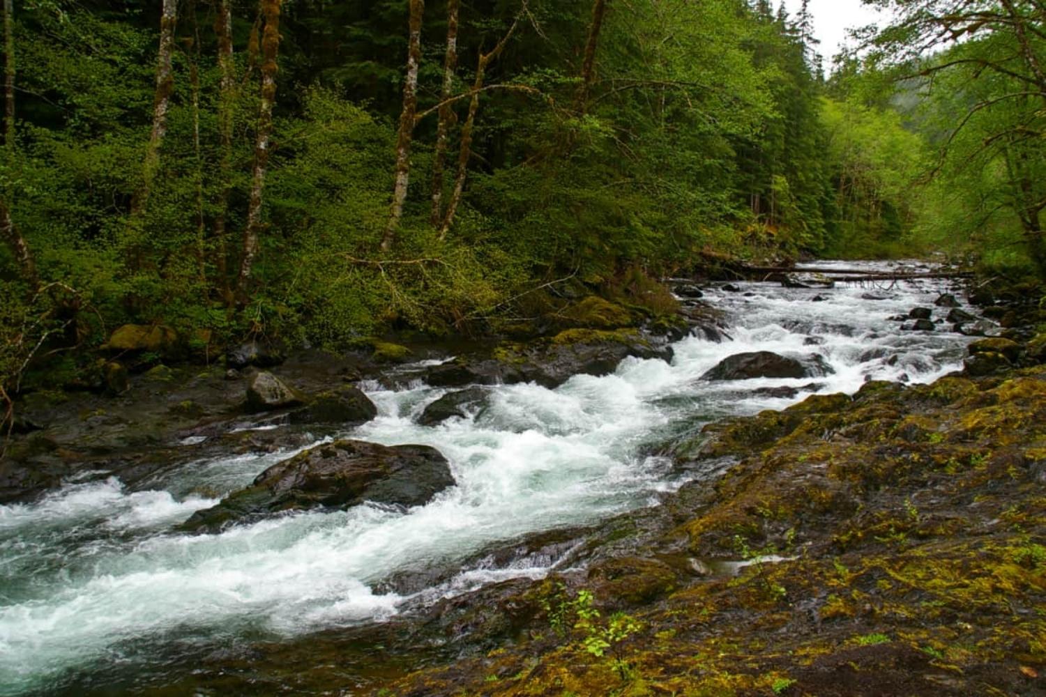 mysteries-of-sol-ducs-hidden-waters