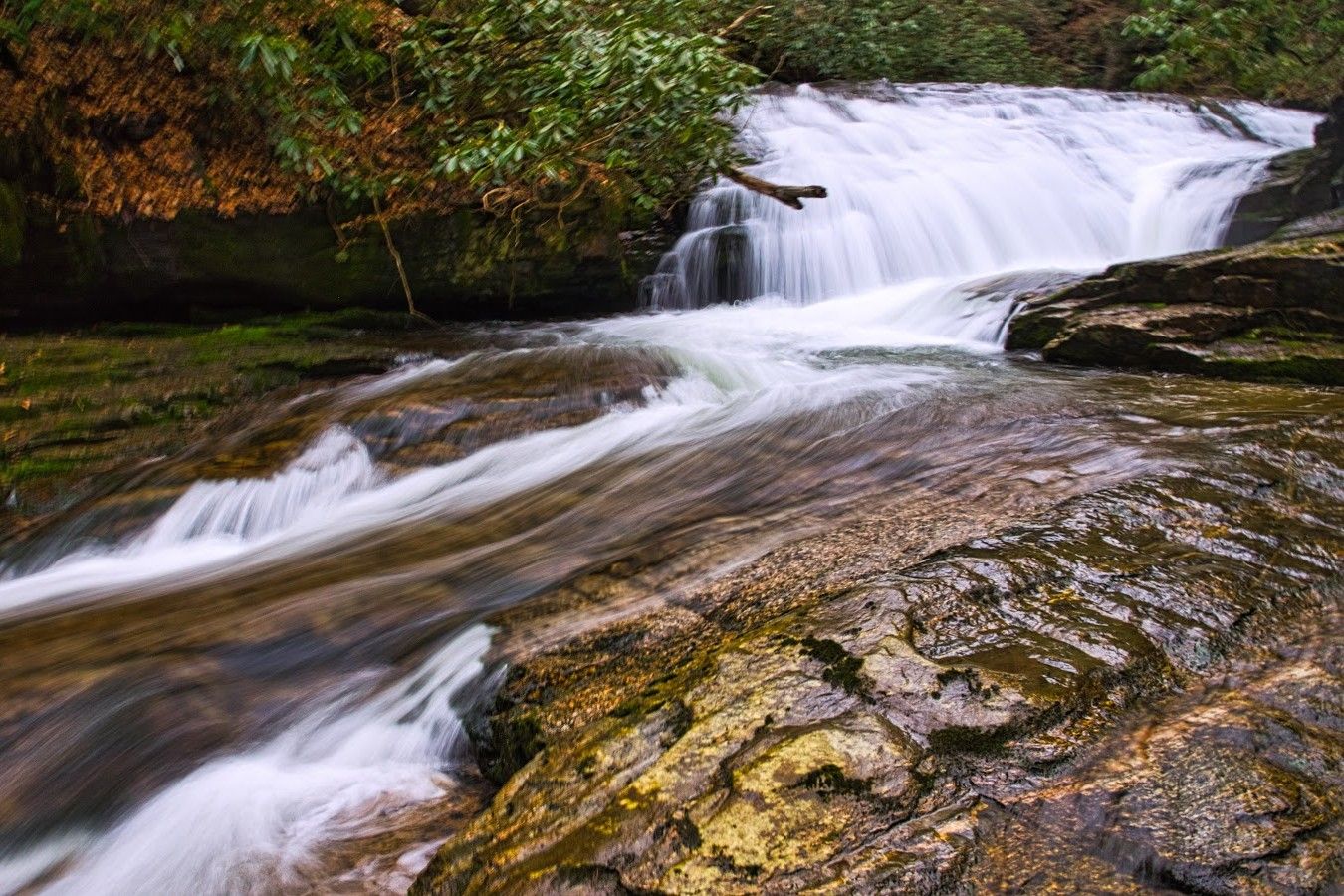 mysteries-of-south-carolinas-eastatoe-creek-springs