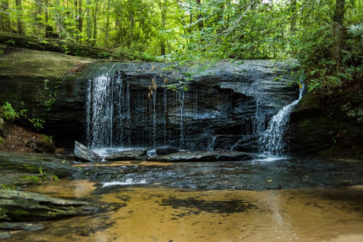 Mysteries-Of-South-Carolina8217s-Wildcat-Branch mysteries-of-south-carolinas-wildcat-branch