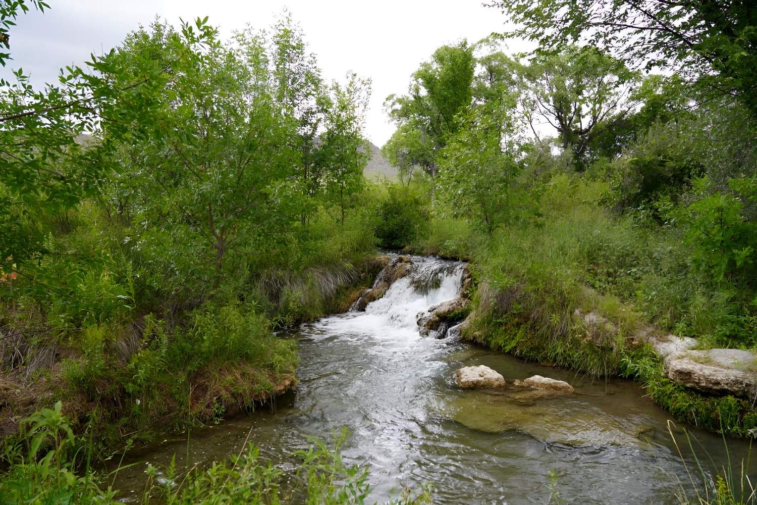 Mysteries-Of-South-Dakota8217s-Cascade-Creek mysteries-of-south-dakotas-cascade-creek