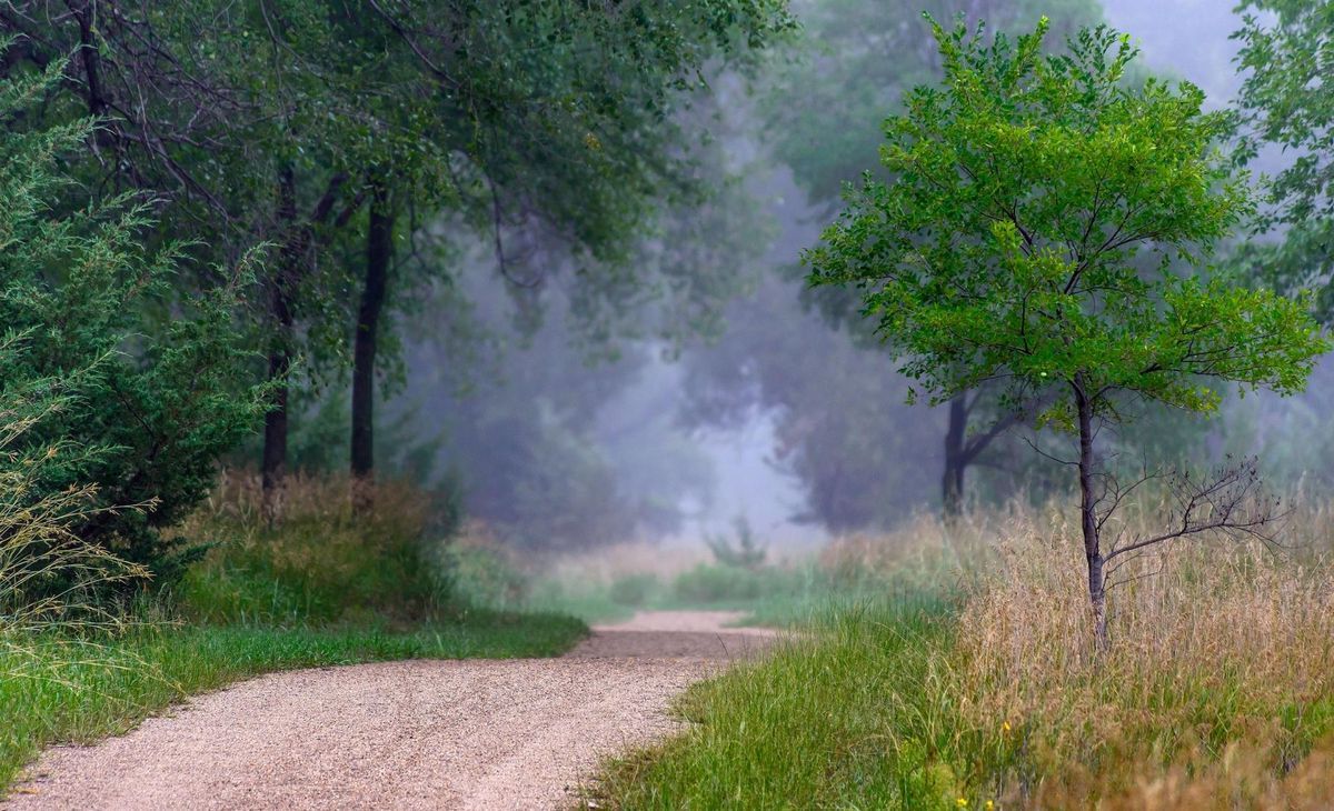 Mysteries-Of-South-Dakota8217s-Ghost-Camp mysteries-of-south-dakotas-ghost-camp