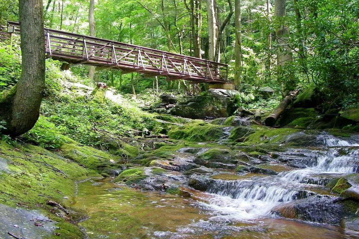 Mysteries-Of-Tennessee8217s-Cherokee-Trail mysteries-of-tennessees-cherokee-trail