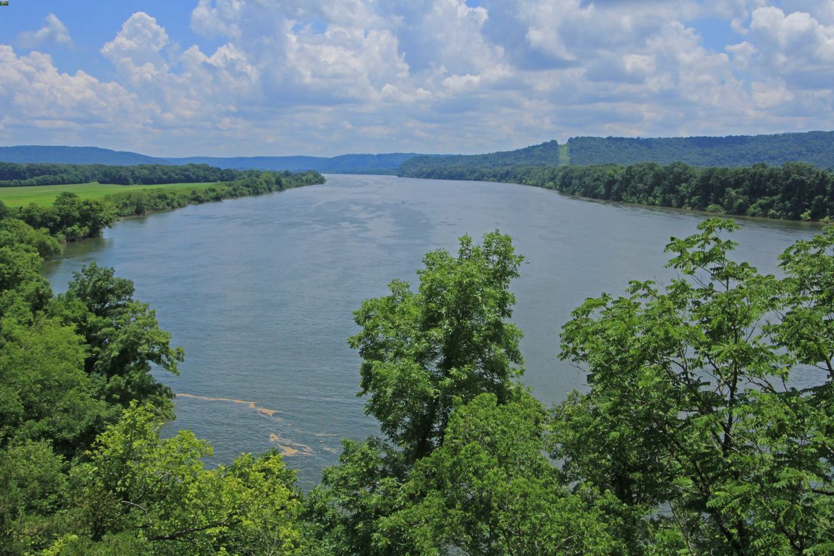 Mysteries-Of-Tennessee8217s-Forest-Basin-Waters mysteries-of-tennessees-forest-basin-waters