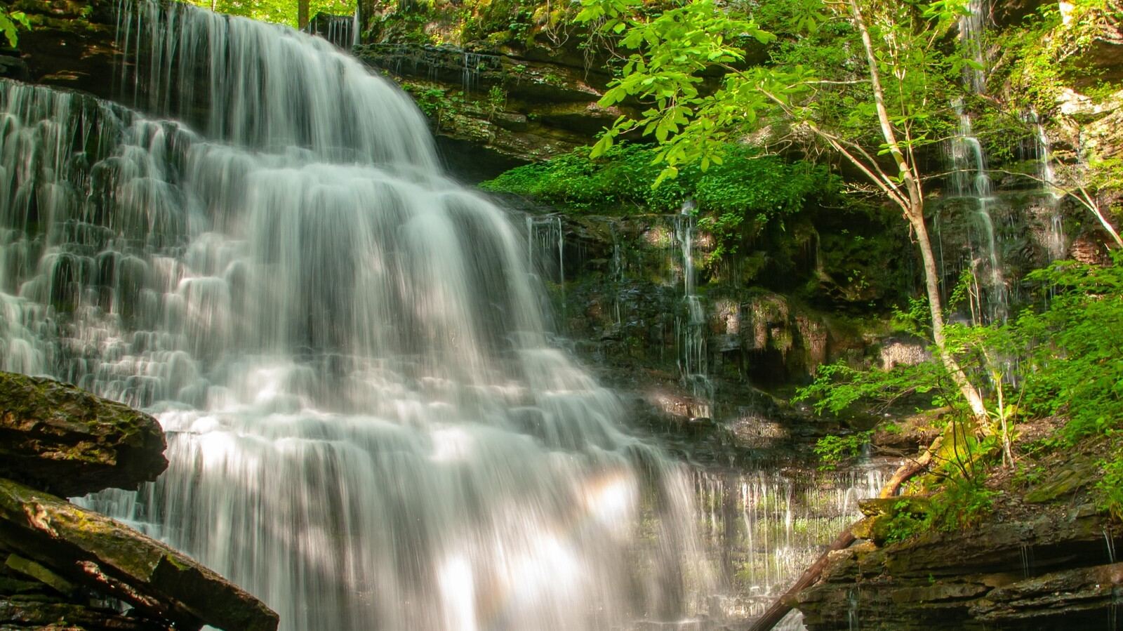 Mysteries-Of-Tennessee8217s-Hidden-Springs mysteries-of-tennessees-hidden-springs