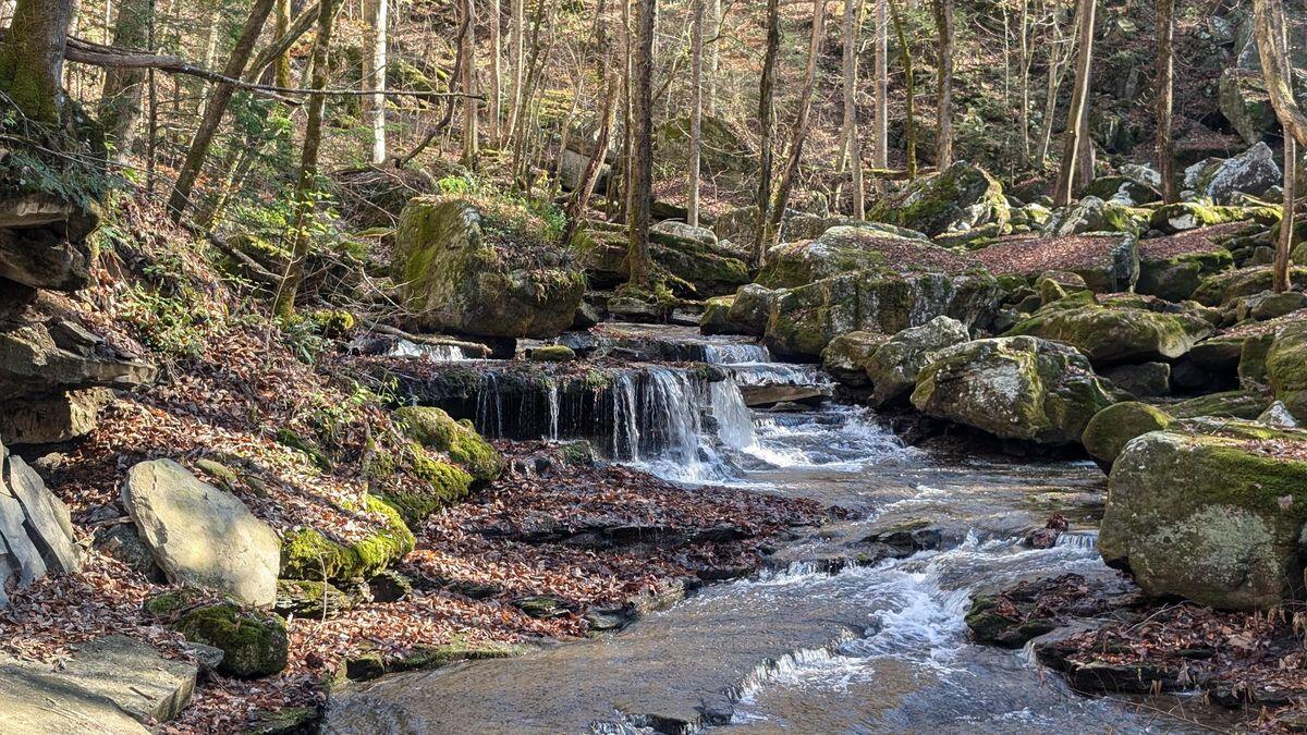 Mysteries-Of-Tennessee8217s-Savage-Gulf-Springs mysteries-of-tennessees-savage-gulf-springs
