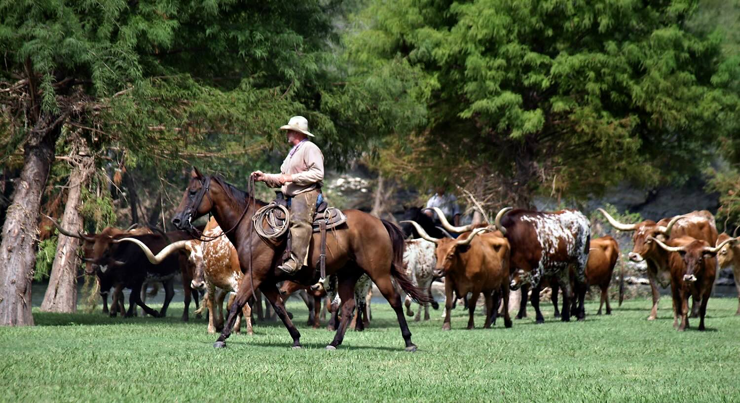 Mysteries-Of-Texas8217-Cattle-Trail mysteries-of-texas-cattle-trail