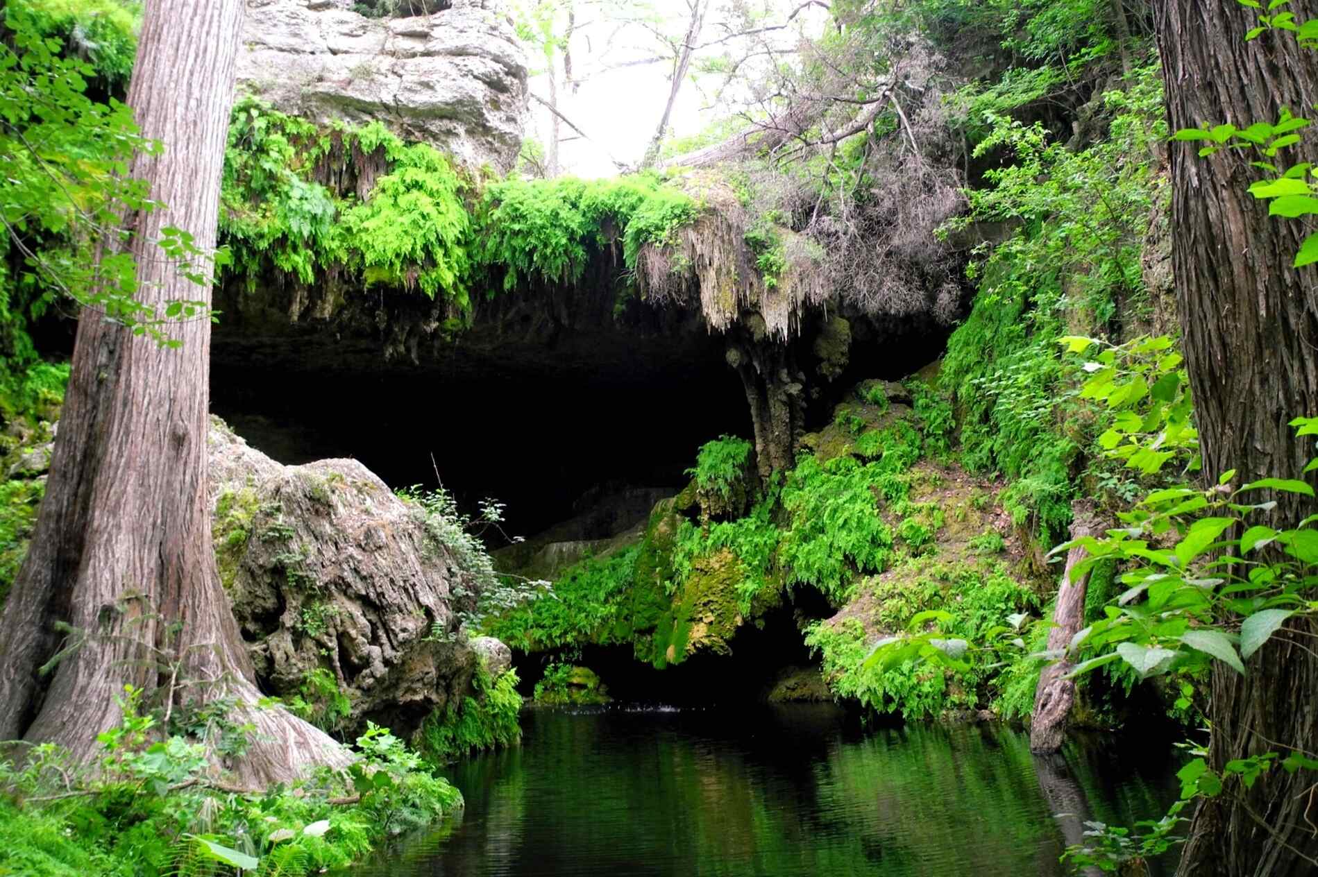 mysteries-of-texas-westcave-preserve-waters